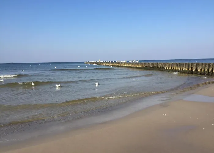 Domki Letniskowe Ustka Sosnowo